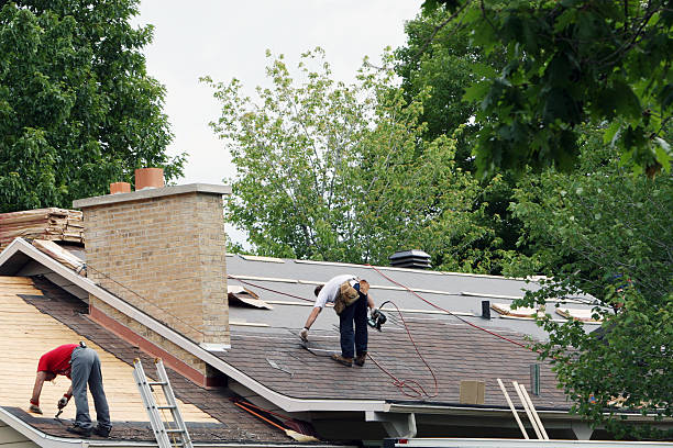 Roof Gutter Cleaning in Brookdale, SC